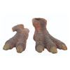 Image 1 : A Pair of "Land of the Lost" Dinosaur Feet.