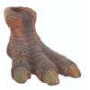 Image 2 : A Pair of "Land of the Lost" Dinosaur Feet.