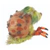 Image 7 : An "Amazing Live Sea Monkeys" Puppy Crab Puppet.