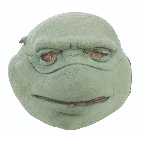 A "Ninja Turtles: The Next Mutation" Puppet Head Skin.