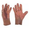 Image 8 : Two Pairs of "The Washington-Byrnes Report" Puppet Hands.