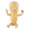 Image 6 : A "Six Feet Under" Baby Puppet.