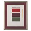 Image 2 : A Framed Page of Disneyland Main Gate Color Samples.