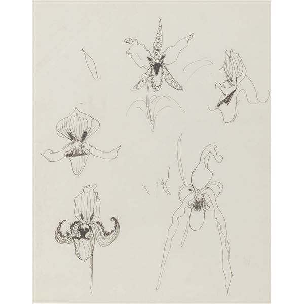 A Page of Marc Davis Enchanted Tiki Room Concepts.