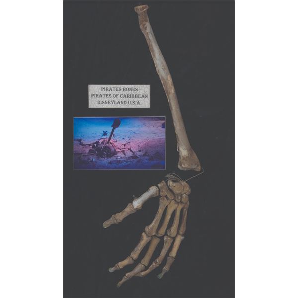 A Pirates of the Caribbean Skeleton Arm Prop.
