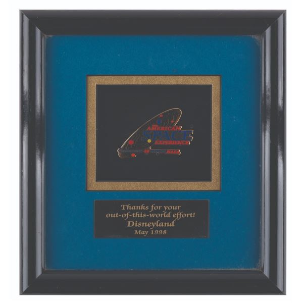 An American Space Experience Project Team Pin.