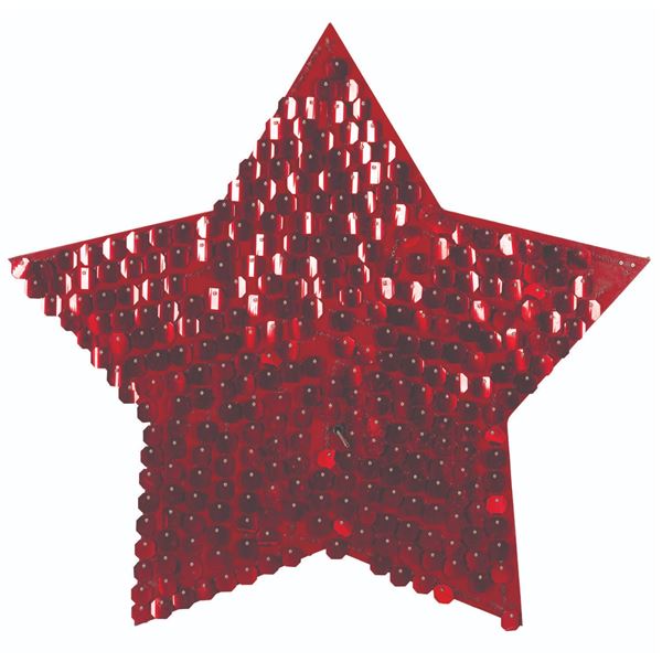 An Epcot 2000 Spaceship Earth Star Decoration.