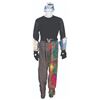 Image 1 : A Tapestry of Nations Parade Costume.