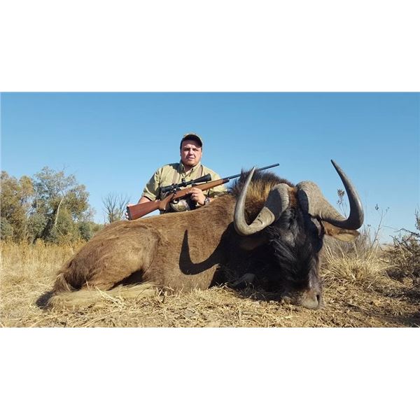 South African Hunting Safari - 3 Brothers African Hunting Safaris