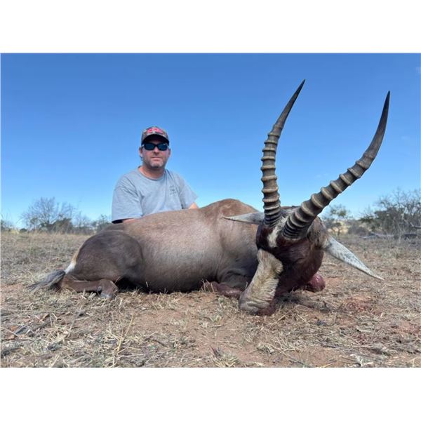 South African Hunt Safari - Thaba Tala Safaris