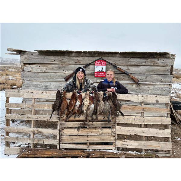 Guided Pheasant Hunt - 20 birds (10 roosters, 10 hens)