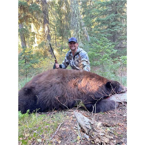 Idaho Baited Bear Any Weapon Hunt