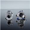 Image 5 : 2pc Swarovski Crystal Memories Figurines, Globe and Forget Me Nots