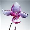 Image 2 : Swarovski Paradise Flower Crystal Figurine, Dorara Fuchsia Rain