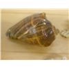 Image 11 : Large Spider Conch Shell, Approx. 7"L