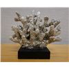 Image 1 : Large Silver Colored Coral on Stand 9" x 8"