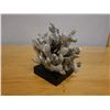 Image 4 : Large Silver Colored Coral on Stand 9" x 8"