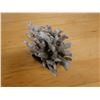 Image 5 : Large Silver Colored Coral on Stand 9" x 8"