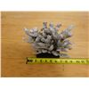 Image 6 : Large Silver Colored Coral on Stand 9" x 8"