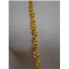 Image 4 : Tahitian Yellow Mongo (?) Shell Lei 38"L
