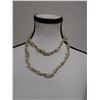 Image 5 : Hawaiian High Luster Sea Snail Shell Lei 34"L