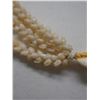 Image 9 : Niihau Triple-Strand Pikake-Style Shell Lei w/ COA 42"L