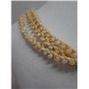 Image 11 : Niihau Triple-Strand Maunaloa Style Shell Lei w/ COA 42"L