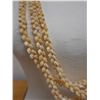 Image 3 : Niihau Triple-Strand Maunaloa Style Shell Lei w/ COA 42"L