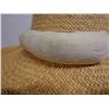 Image 5 : Vintage Rare Domed White Feather Lei Representing Ermine as Worn by Royalty 23"L (hat not included)