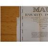 Image 14 : Maui Hawaiian Islands Territorial Map Lithograph Dated 1885, Unframed 37" x 32"