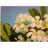 Image 4 : Original Oil Painting, Plumeria by Hawaii Artist from the School of Daniel Kim 20" x 16" Unframed