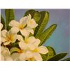 Image 5 : Original Oil Painting, Plumeria by Hawaii Artist from the School of Daniel Kim 20" x 16" Unframed