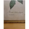 Image 3 : Vintage Redoute Rose Print, Framed 12" x 17"