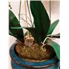 Image 7 : Blue Koi Pot w/ Artificial Orchid Plant on Rosewood Stand