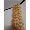 Image 4 : Niihau Triple-Strand Pikake-Style Shell Lei w/ COA 38"L
