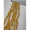 Image 3 : Vintage High Luster Yellow Mongo Shell Lei w/ Cowrie Clasp 36"L