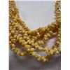 Image 5 : Vintage High Luster Yellow Mongo Shell Lei w/ Cowrie Clasp 36"L