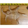 Image 3 : Large Spider Conch Shell, Approx. 8"L