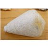 Image 1 : Large Hard Sea Snail Shell, Approx. 4"L