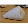 Image 2 : Large Hard Sea Snail Shell, Approx. 4"L