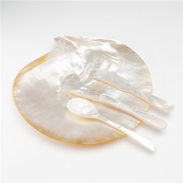 4pc Mother of Pearl Natural Shell Plate and Utensil Set