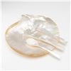 Image 1 : 4pc Mother of Pearl Natural Shell Plate and Utensil Set