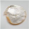 Image 2 : 4pc Mother of Pearl Natural Shell Plate and Utensil Set