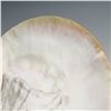 Image 5 : 4pc Mother of Pearl Natural Shell Plate and Utensil Set