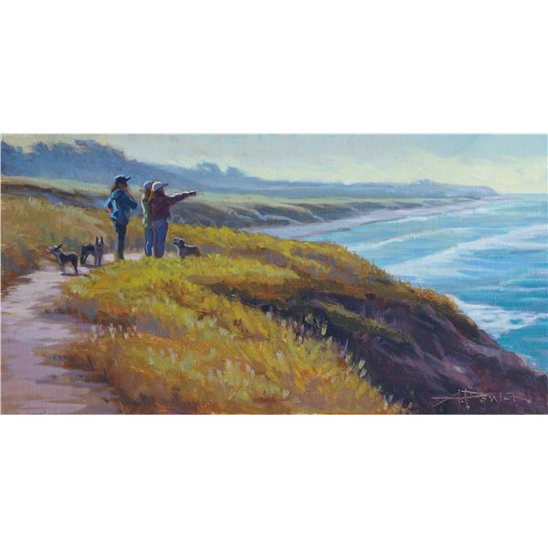 The Wonder of Whales by Anette Power