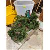 Image 1 : Christmas greens with Christmas wrap container