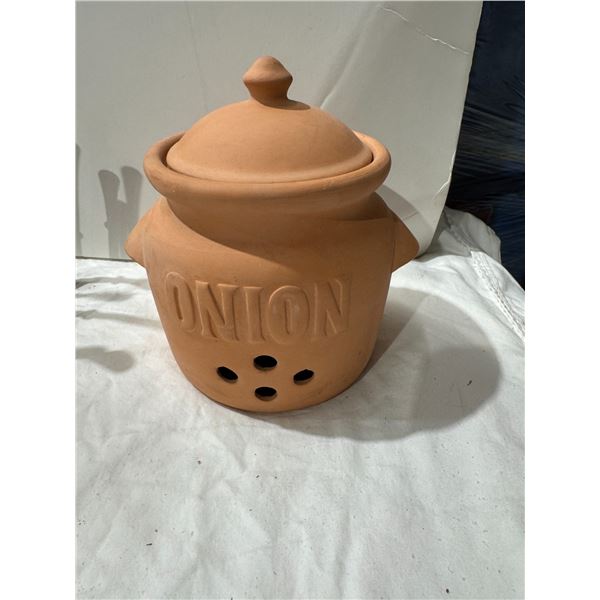 Onion container