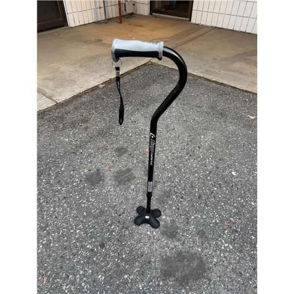 Adjustable cane