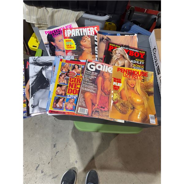 Playboy, penthouse and other adult magazines