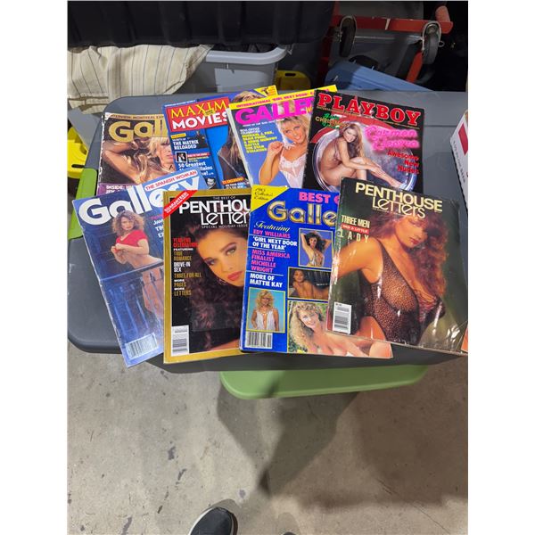 playboy, penthouse and other magazines